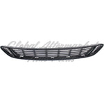 GRILLE LOWER — photo 4