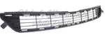 GRILLE LOWER — photo 3