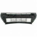 GRILLE LOWER PAINTED BLACK W/CHROME MLDG S/SPECIAL EDITION MODEL — photo 5