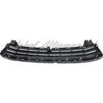 GRILLE LOWER PAINTED-DK GRAY W/CHROME MLDG — photo 2