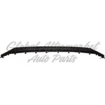GRILLE LOWER MATTE BLACK W/BLACK MOULDING — photo 5