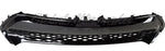 GRILLE LOWER PTD DARK GRAY W/MESH SE/XSE — photo 4