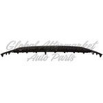GRILLE LOWER W/PANORAMIC VIEW CAMERA — photo 5