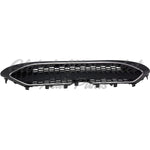 GRILLE LOWER FR TEXTURED BLACK W/PTD SILVER MOLDING XLE W/O TOW HOOK — photo 5