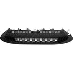 GRILLE LOWER FR TEXTURED BLACK W/ MATTE BLACK MOLDING/TOW HOOK L/LE — photo 4