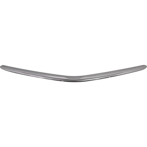 BUMPER MOULDING FR