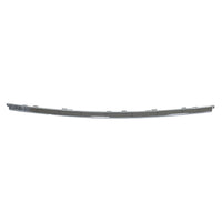 BUMPER MOLDING FR CENTER CHROME LTD/XLE