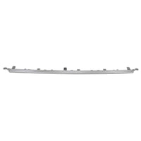 BUMPER MOLDING FR LOWER CENTER ARGENT