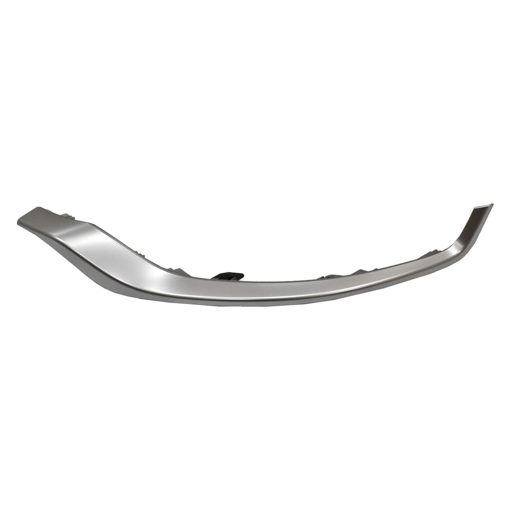 BUMPER MOLDING FR LH LOWER PTD SILVER GRAY