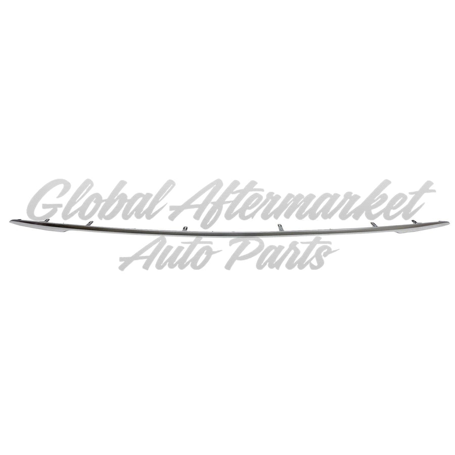 BUMPER MOLDING RR SATIN PLASTIC LTD/PLATINUM