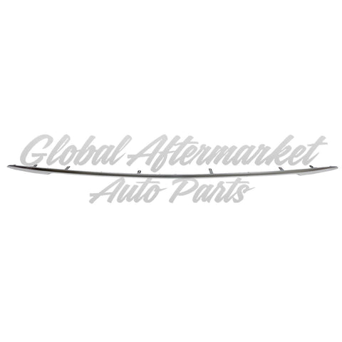 BUMPER MOLDING RR SATIN PLASTIC LTD/PLATINUM