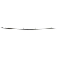 BUMPER MOLDING RR SATIN PLASTIC LTD/PLATINUM