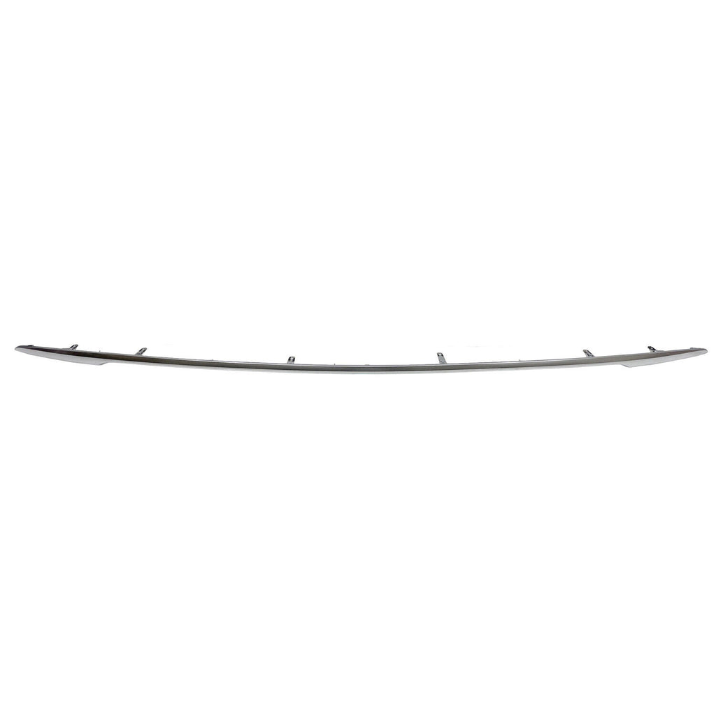 BUMPER MOLDING RR SATIN PLASTIC LTD/PLATINUM