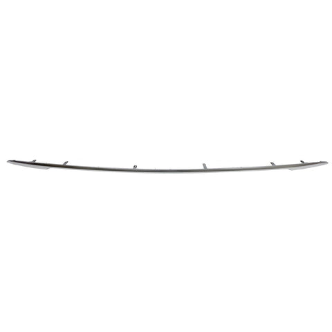 BUMPER MOLDING RR SATIN PLASTIC LTD/PLATINUM