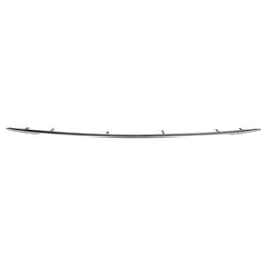 BUMPER MOLDING RR SATIN PLASTIC LTD/PLATINUM
