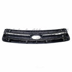 GRILLE CHROME/BLACK — photo 3