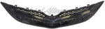 GRILLE MATTE-BLACK — photo 3