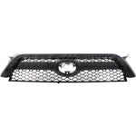 GRILLE BLACK W/ BLACK INSERTS — photo 1