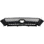GRILLE BLACK W/ BLACK INSERTS — photo 2