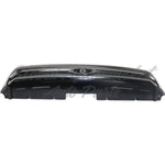 GRILLE PAINTED BLACK W/GRAY MOULDING SR MODEL — photo 4