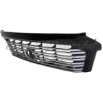 GRILLE PAINTED SILVER-GRAY W/BLACK MOULDING PLATINUM MODEL — photo 3