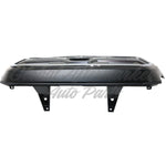 GRILLE SILVER W/CHROME MOULDING/BLACK FRAME LTD MODEL — photo 4