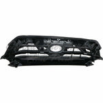 GRILLE SILVER W/CHROME MOULDING/BLACK FRAME LTD MODEL — photo 5