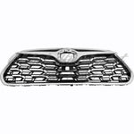 GRILLE FR PTD BLACK W/CHROME MOLDING / CAMERA FOR PLATINUM/ LTD MODELS — photo 2
