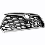 GRILLE FR PTD BLACK W/CHROME MOLDING / CAMERA FOR PLATINUM/ LTD MODELS — photo 3