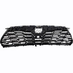 GRILLE FR PTD BLACK W/CHROME MOLDING / CAMERA FOR PLATINUM/ LTD MODELS — photo 5