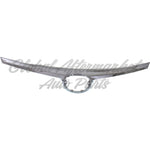GRILLE MOLDING CHROME — photo 2