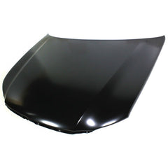 HOOD STEEL CAPA