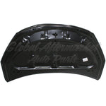 HOOD STEEL CAPA — photo 1