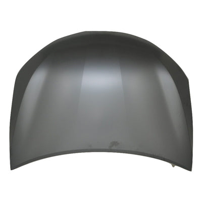 HOOD STEEL CAPA