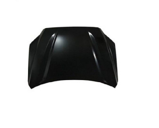 HOOD ALUMINUM CAPA