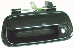 DOOR HANDLE TAILGATE PTM
