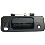 DOOR HANDLE TAIL GATE OUTSIDE W/KEY/CAMERA HOLE TEXTURE BLACK — photo 1