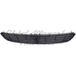 GRILLE LOWER BLACK — photo 4