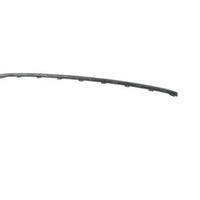 BUMPER MOLDING FR CENTER TEXTURED BLACK