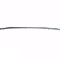 BUMPER MOULDING RR CENTER CHROME