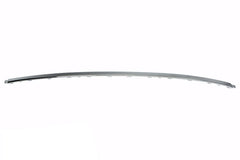 BUMPER MOULDING RR CENTER CHROME