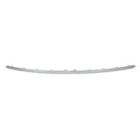 BUMPER MOULDING RR CENTER CHROME
