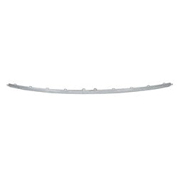 BUMPER MOULDING RR CENTER CHROME
