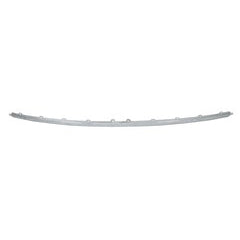 BUMPER MOULDING RR CENTER CHROME