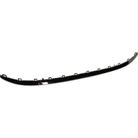 BUMPER MOULDING RR CENTER CHROME