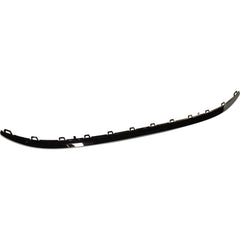 BUMPER MOULDING RR CENTER CHROME
