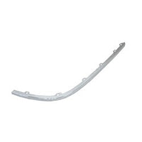 BUMPER MOULDING RR LH CHROME