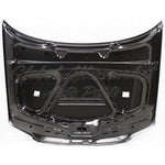 HOOD CAPA — photo 3