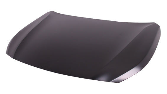 HOOD ALUMINUM CAPA
