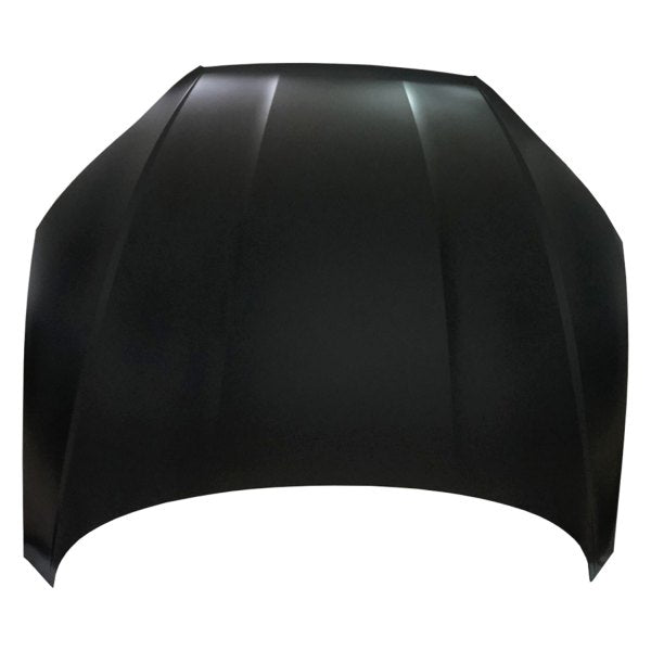 HOOD STEEL CAPA